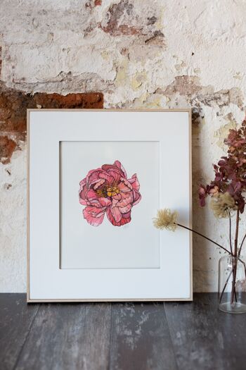 Illustration botanique : A4 Coral Charm Peony Giclée Art Print 2