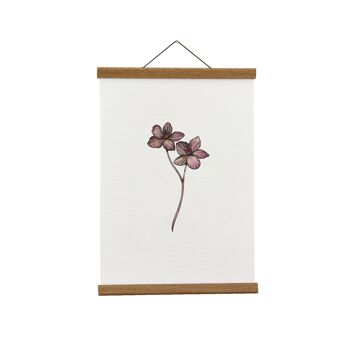 Illustration Botanique: A4 Purple Hellébore Giclée Art Print 1