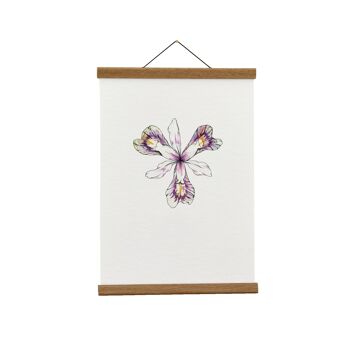 Illustration botanique : A4 Iris Giclée Art Print 1