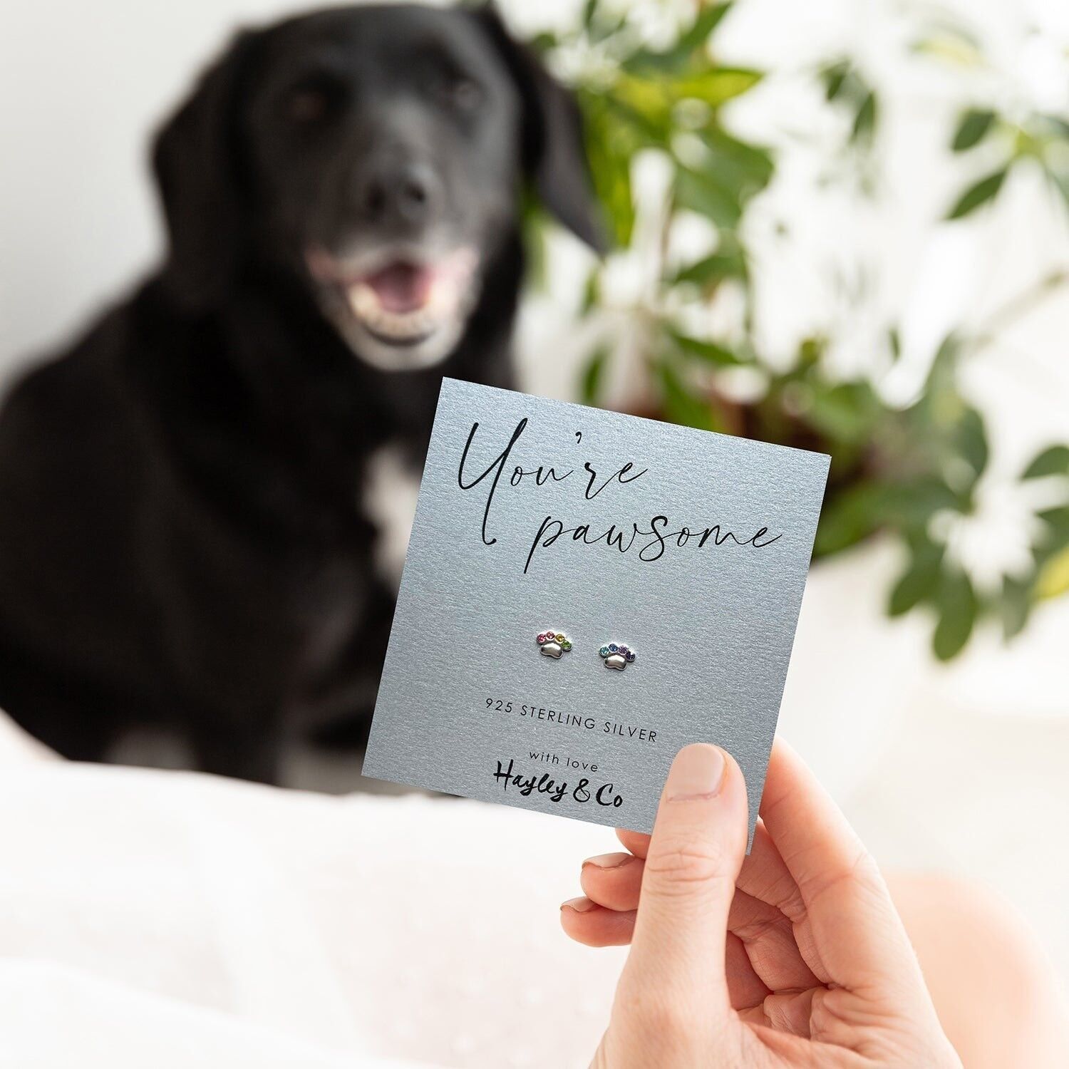 Orecchini con stampa zampa scintillante arcobaleno