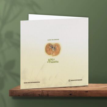 Carte de vœux de cerf, papier recyclé, carte d’anniversaire d’animal, carte illustrée, cartes, cerf 2
