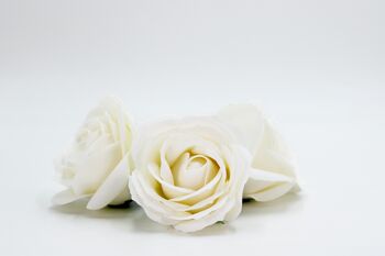 Fleur de savon – Rose moyenne blanche 2