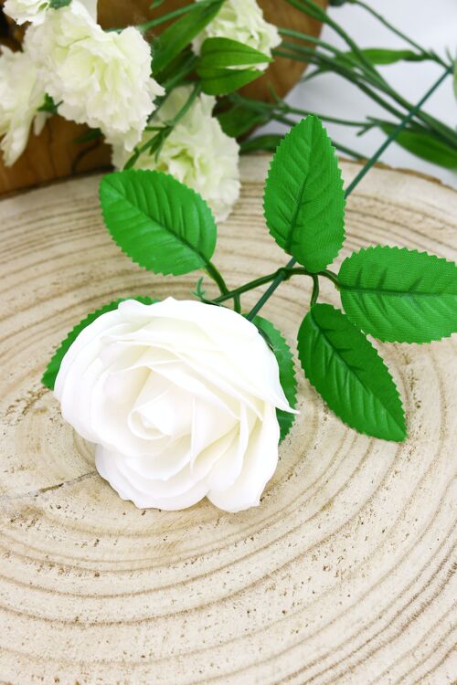 Fleur de savon – Rose moyenne blanche