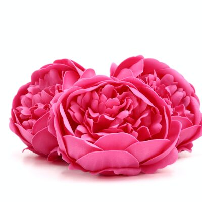 Flor de jabón – Peonía rosa oscuro