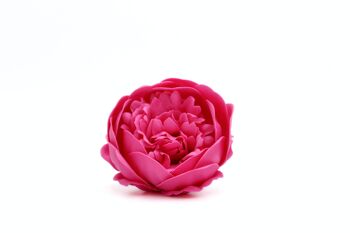 Fleur de savon – Pivoine Rose Foncé 2