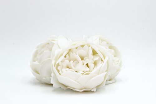 Fleur de savon – Pivoine Blanche