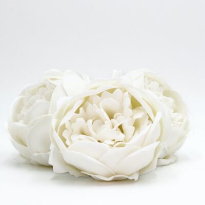 Flor de Jabón – Peonía Blanca