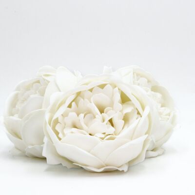 Fiore di sapone – Peonia bianca