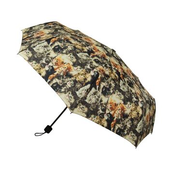 Chat - Parapluie Pliant 1