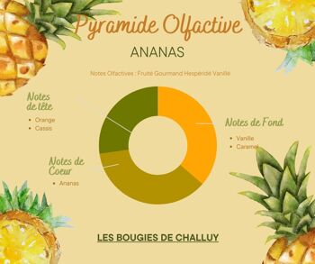 BOUGIE "ANANAS" MADE IN NIÈVRE 2