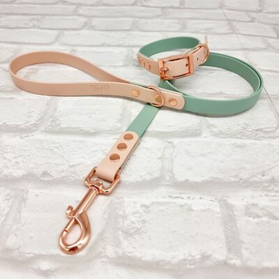 Waterproof BioThane© Two-Coloured Dog Collar & Dog Lead Set - Sage & Powder Pearl