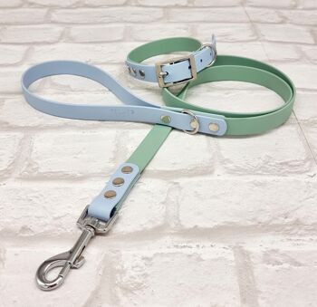 Ensemble Collier et Laisse pour Chien Bicolore BioThane© Imperméable - Sauge & Bleu Pastel 1