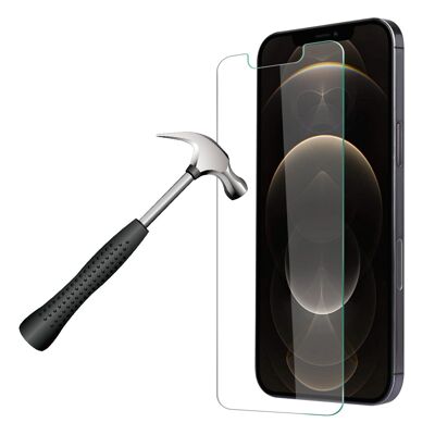 VETRO TEMPERATO 5D PER IPHONE 12 Pro Max