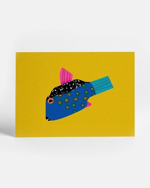 Boxfish | Postcard