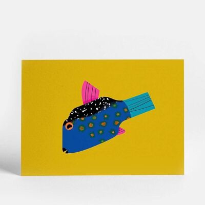 Pesce scatola | Cartolina