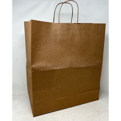 Kraft shopping bag + twisted handles