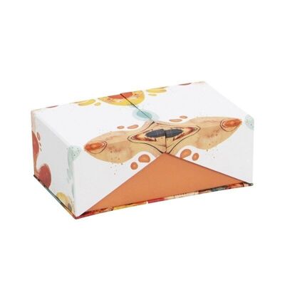 Color double opening cardboard box 16.2x9.7x6