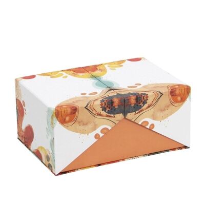 Caja carton color doble apertura 22,5x15,7x10