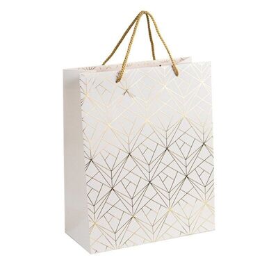 Exception cardboard rectangular bag 26x12x32