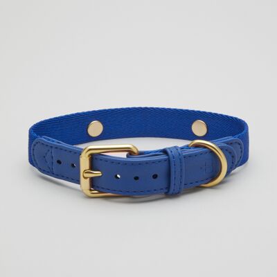 Blue Dog Collar