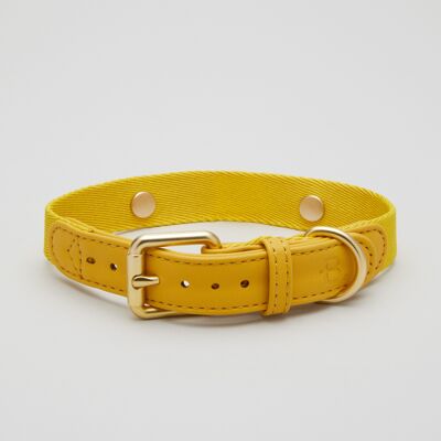 Collier de chien jaune