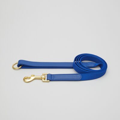 Blue Dog Leash