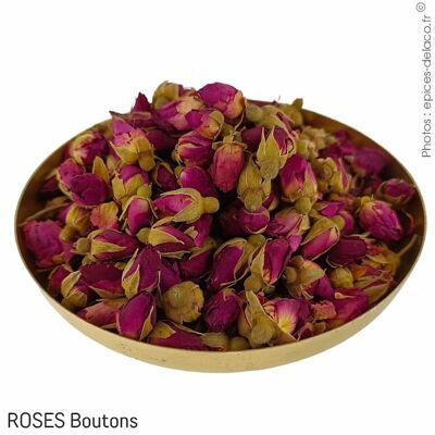 ROSES Boutons 42g - M