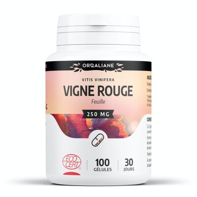 Vigne rouge Bio - 250 mg - 100 gélules