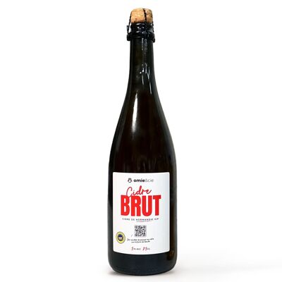 DESTOCKAGE - Cidre brut