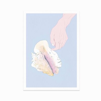 Poster The Seashell