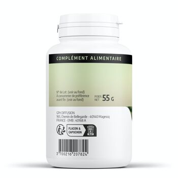 Artichaut Bio - 200 mg - 200 gélules 2