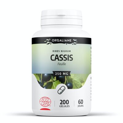 Ribes nero biologico - 250 mg - 200 capsule
