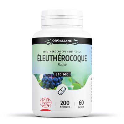 Eleuterococo orgánico - 210 mg - 200 cápsulas