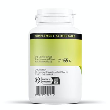 Fenouil Bio - 250 mg - 200 gélules 2