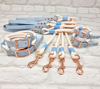 Ensemble Collier et Laisse pour Chien Paracord & Waterproof BioThane© - Crème & Bleu Pastel 1