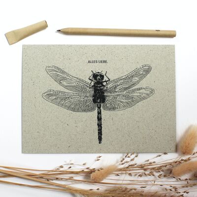 Tarjeta de felicitación de papel de hierba, libélula