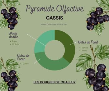 BOUGIE "CASSIS" MADE IN NIÈVRE 3
