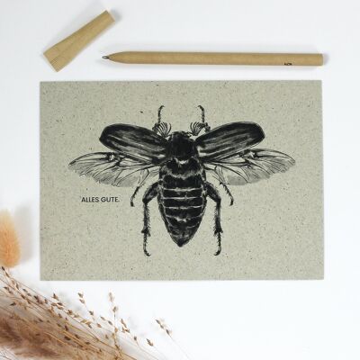 Grass paper greeting card, May beetle