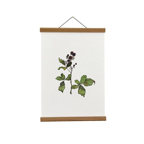 Botanical Illustration: A3+ Bramble Giclée Art Print