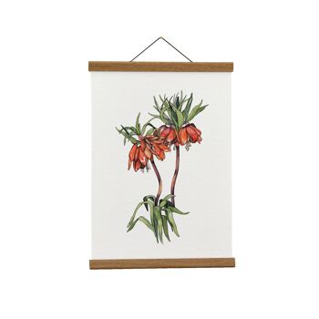 Illustration botanique : A3+ Frittilaria Imperialis Giclée Art Print 1
