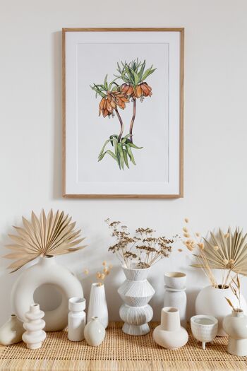 Illustration botanique : A3+ Frittilaria Imperialis Giclée Art Print 2