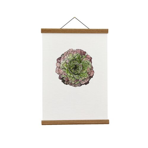 Botanical Illustration: A3+ Japanese Ranunculus (Green) Giclée Art Print