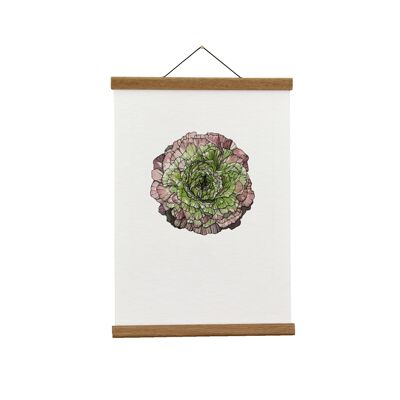 Ilustración botánica: Ranunculus japonés A3+ (verde) Giclée Lámina artística