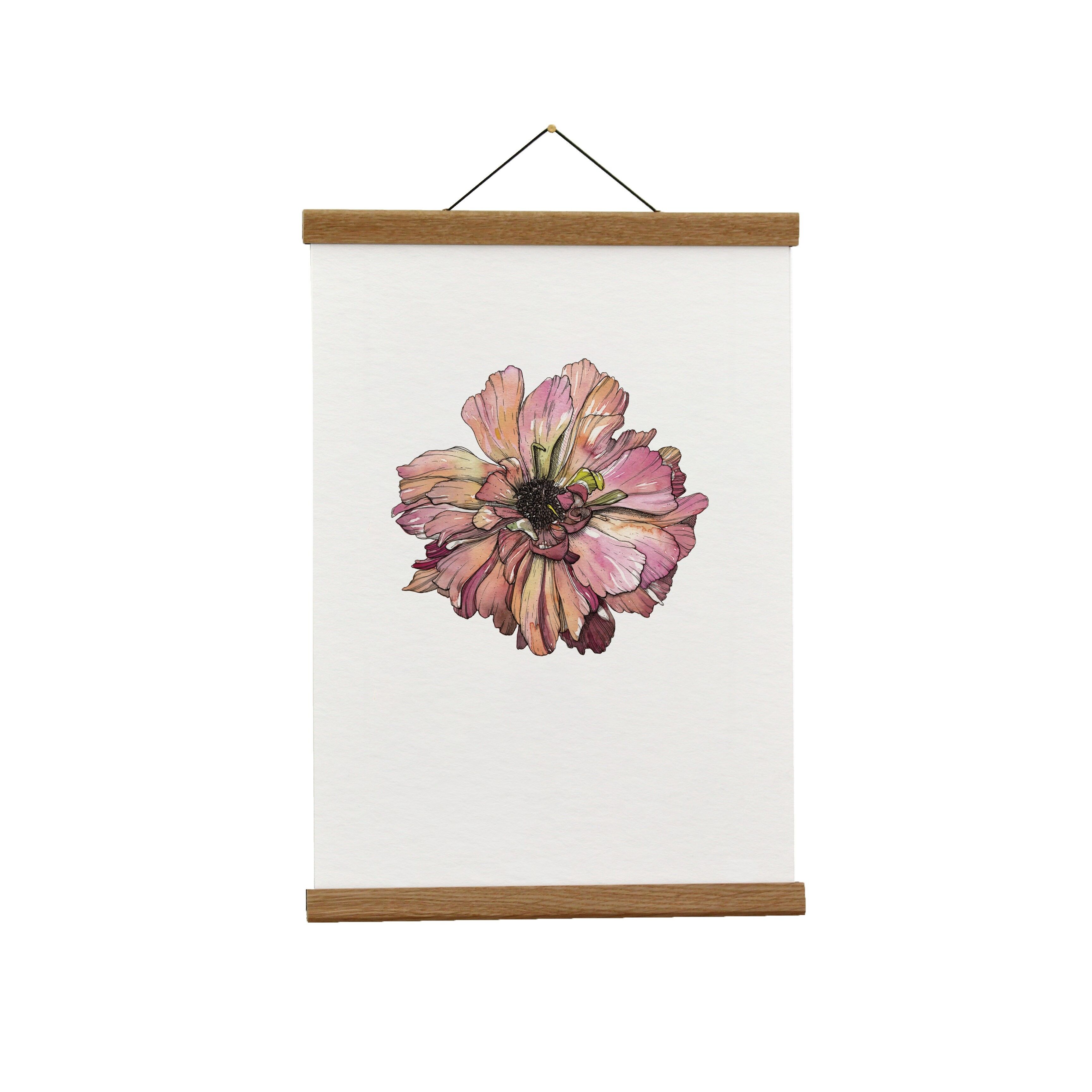 Illustrazione botanica: A3+ Ranuncolo giapponese (rosa) Giclée Art Print