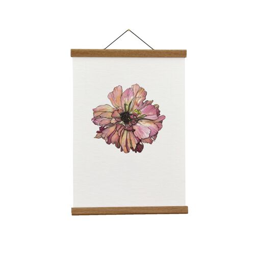Botanical Illustration: A3+ Japanese Ranunculus (Pink) Giclée Art Print
