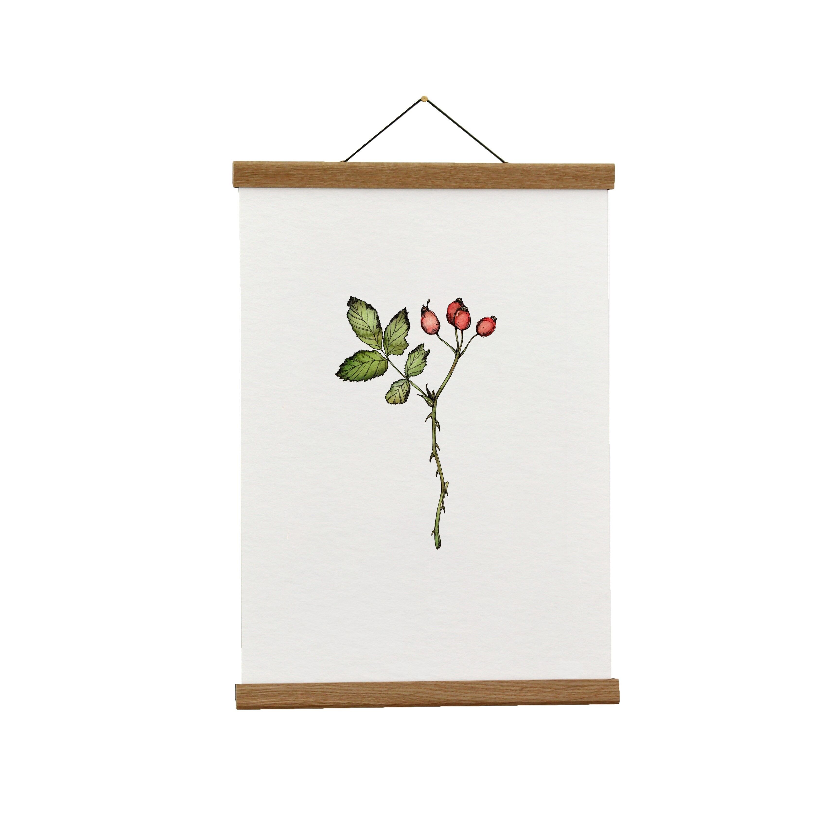 Petal store #2 - 30x30cm Giclée art print