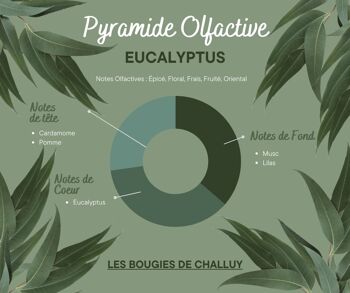 BOUGIE "EUCALYPTUS" MADE IN NIÈVRE 2