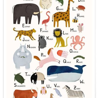 Animals from A to Z
  