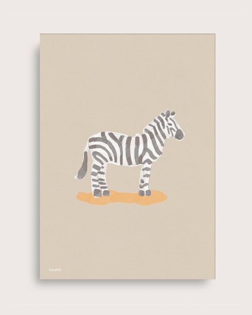 Zebra