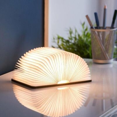 Creative LED Wooden Book Night Light